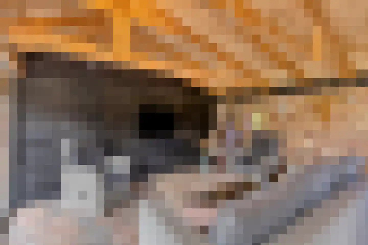 Vrouwenweg 17 Nijkerkerveen thumbnail 16