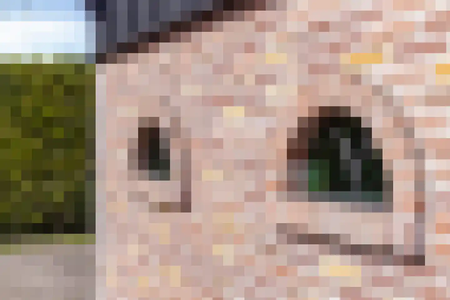 Vrouwenweg 17 Nijkerkerveen thumbnail 20