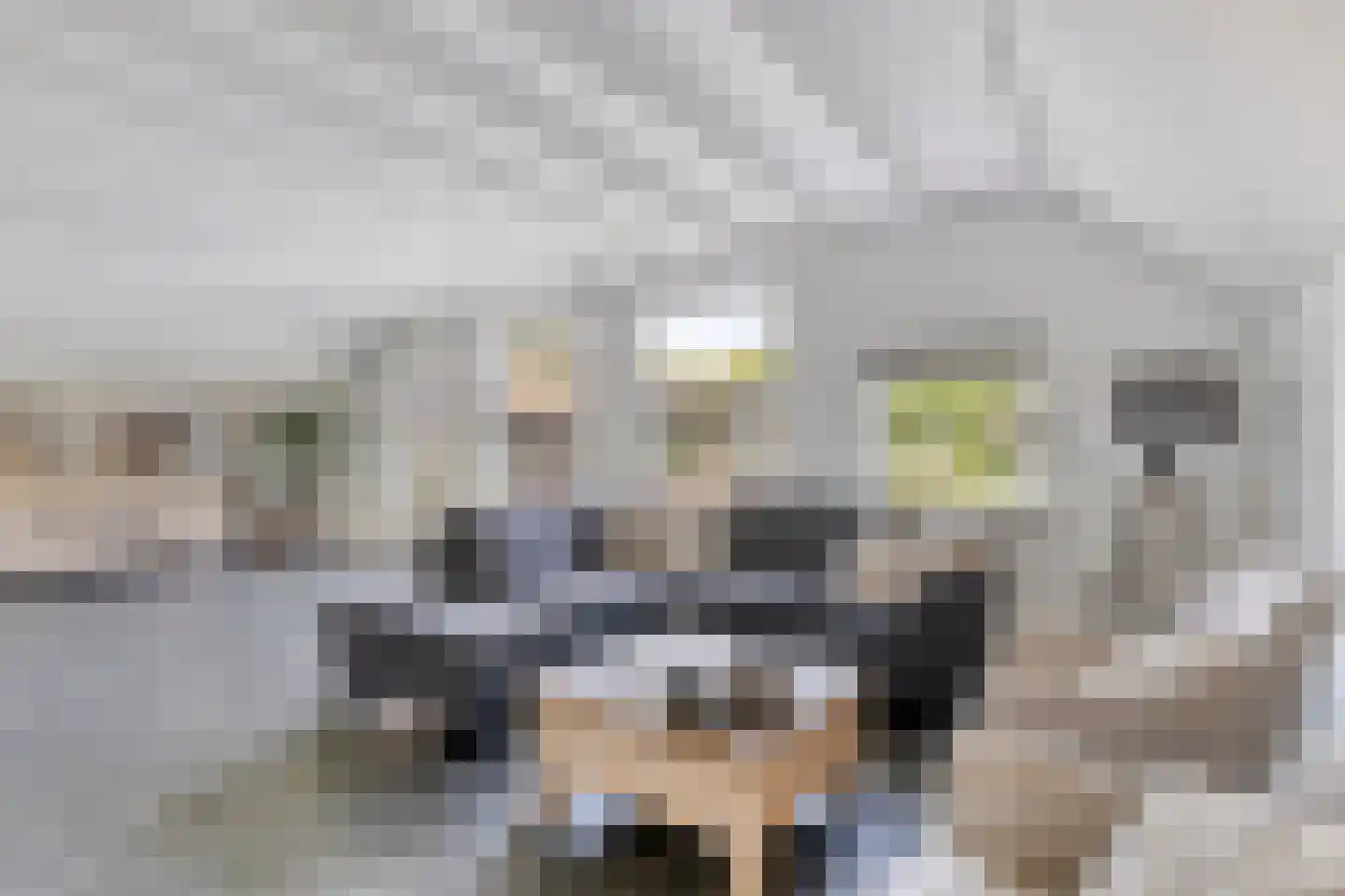 Vrouwenweg 17 Nijkerkerveen thumbnail 26