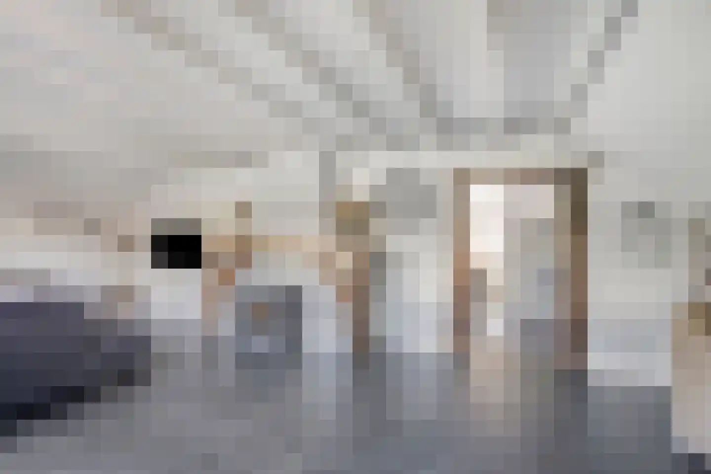 Vrouwenweg 17 Nijkerkerveen thumbnail 28