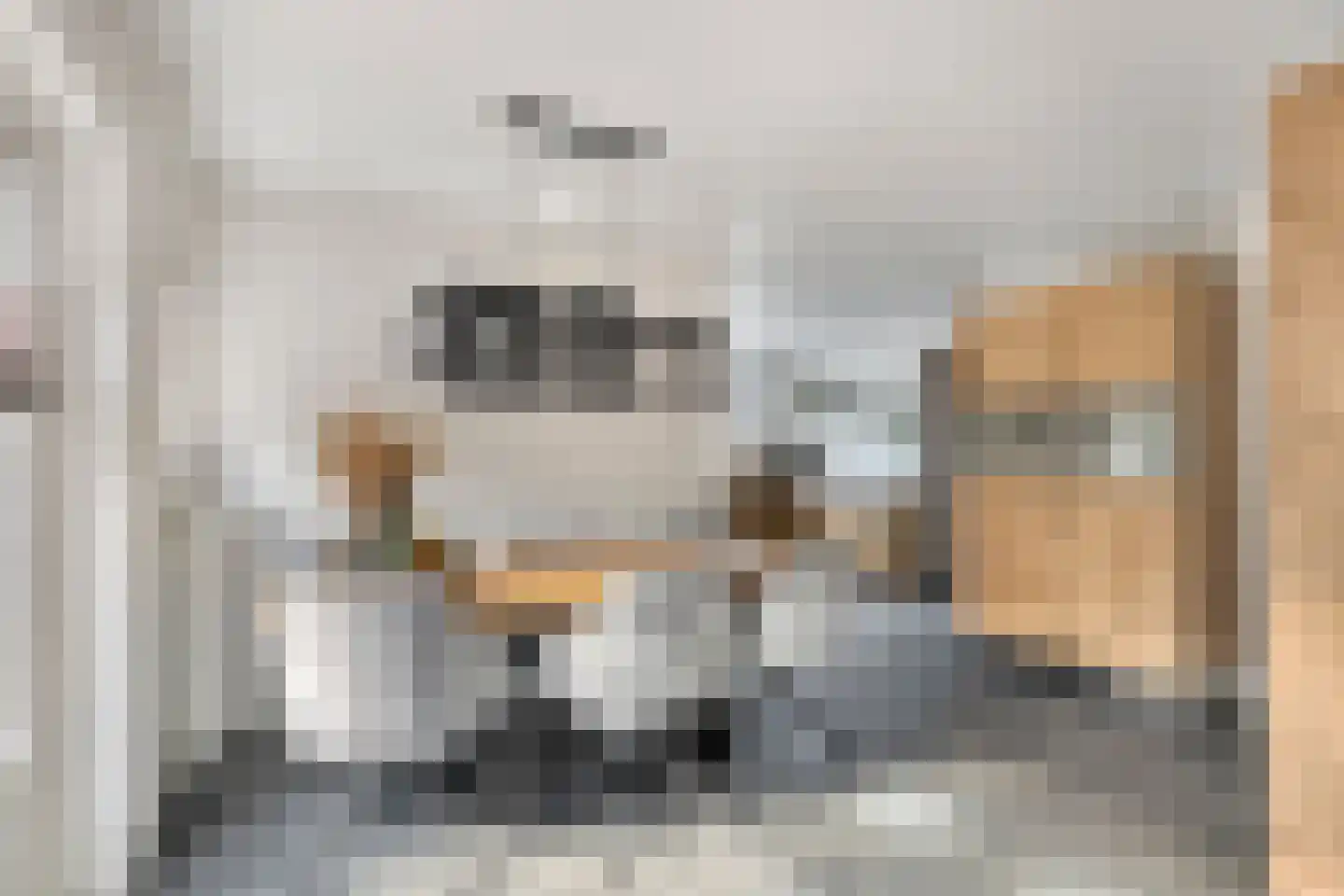 Vrouwenweg 17 Nijkerkerveen thumbnail 30