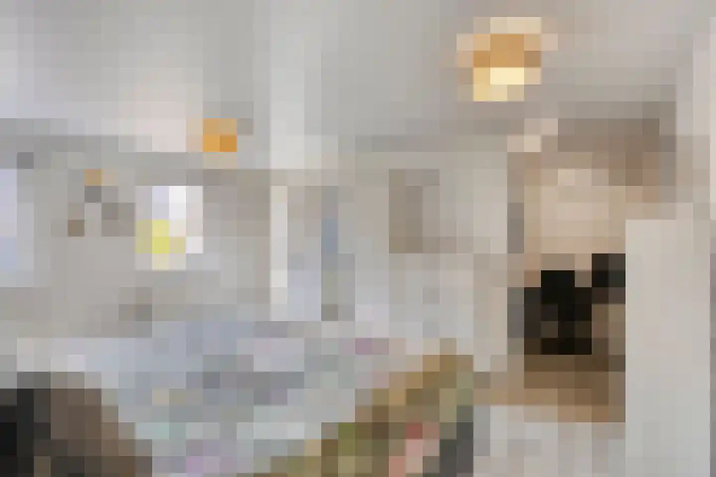 Vrouwenweg 17 Nijkerkerveen thumbnail 36
