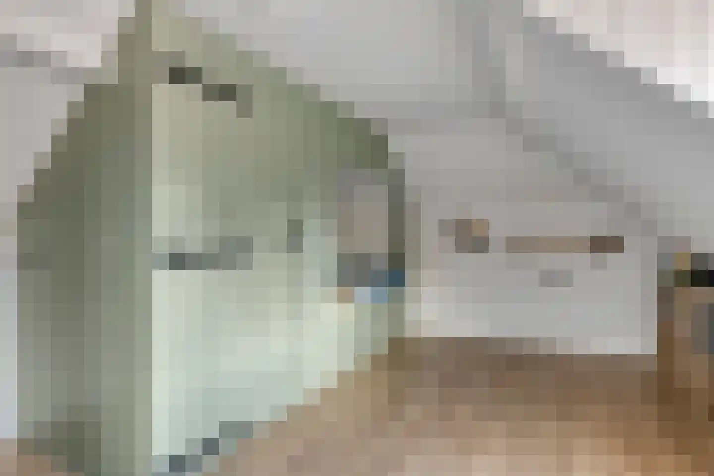 Vrouwenweg 17 Nijkerkerveen thumbnail 45