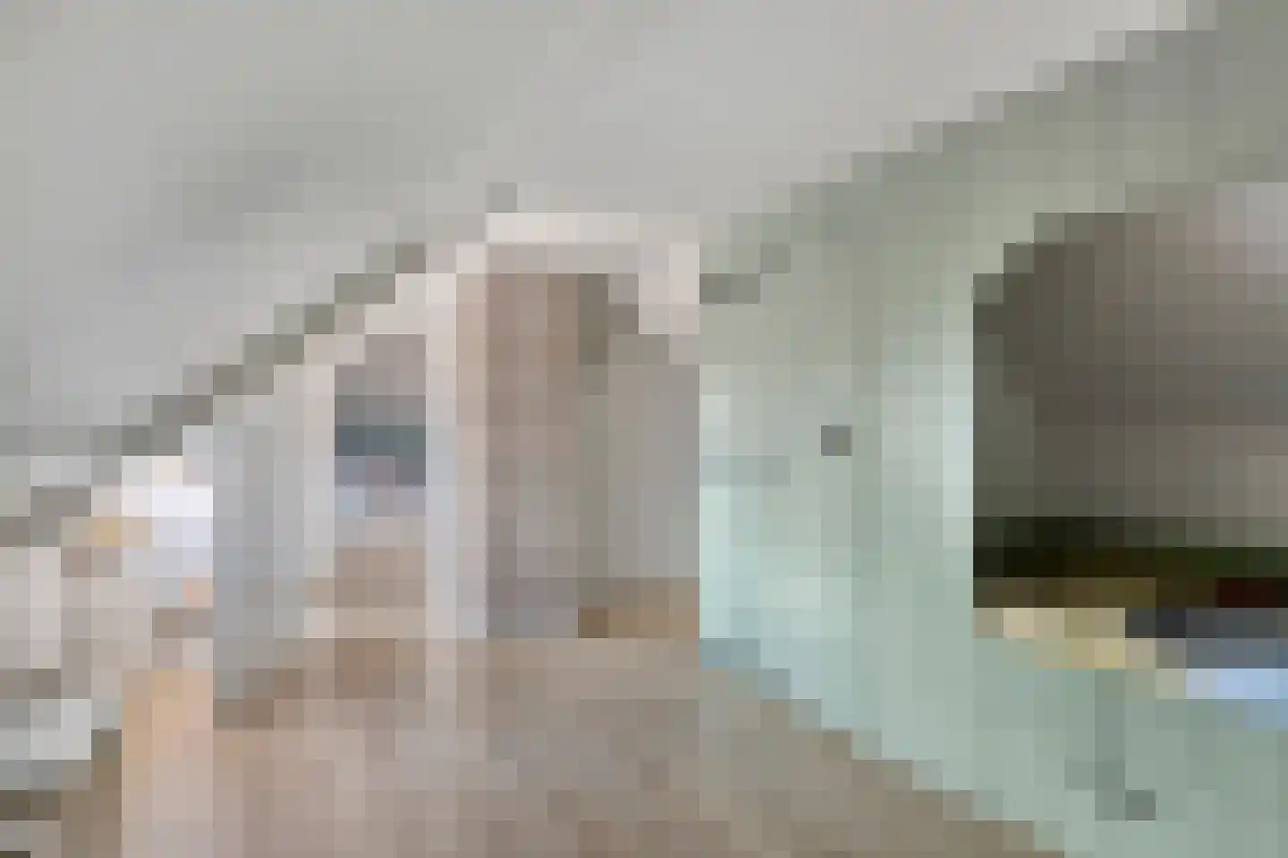 Vrouwenweg 17 Nijkerkerveen thumbnail 46