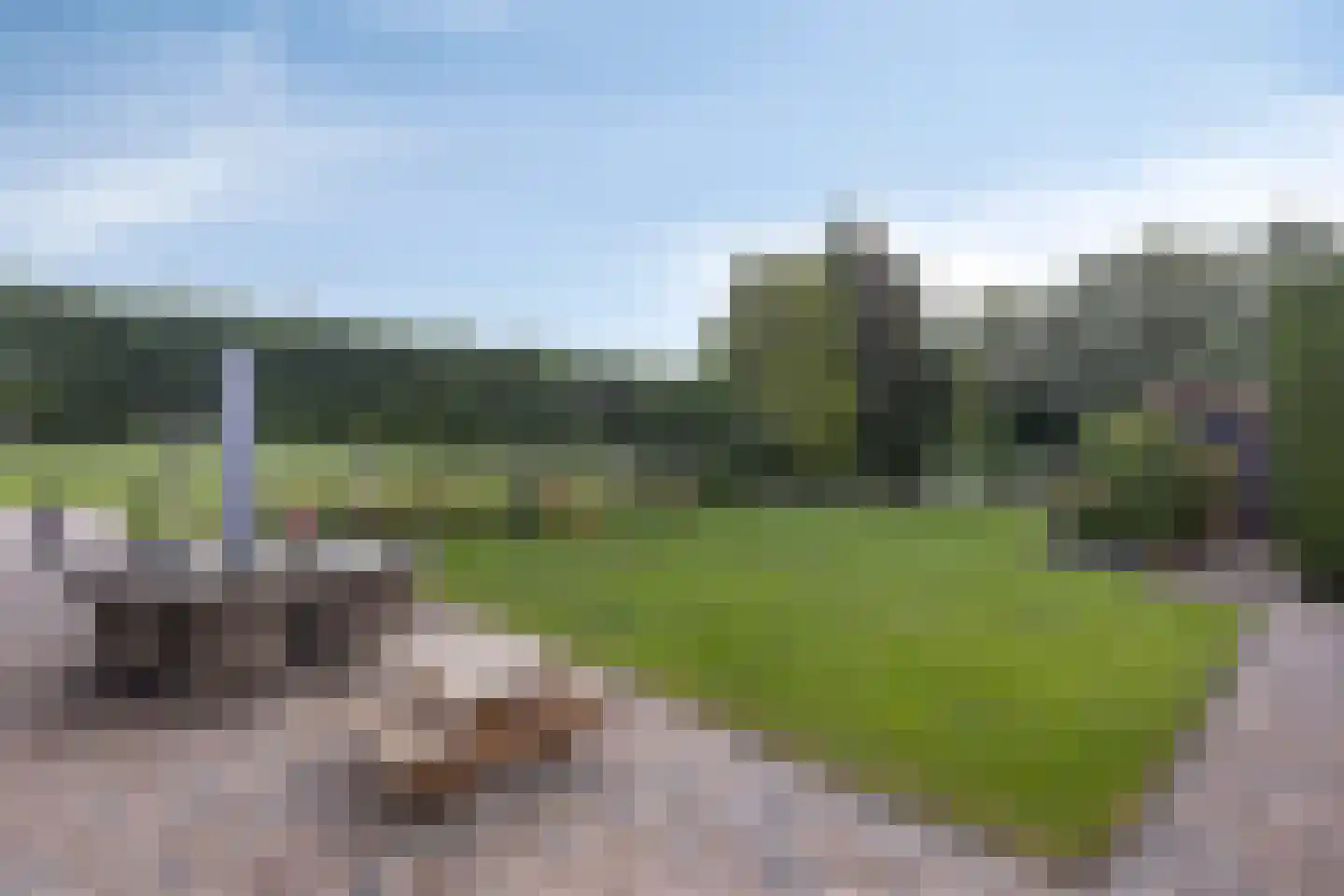 Vrouwenweg 17 Nijkerkerveen thumbnail 5