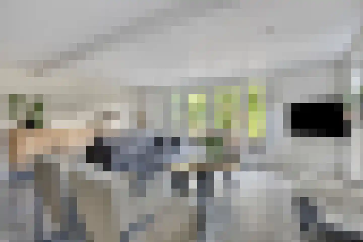 Vrouwenweg 17 Nijkerkerveen thumbnail 52