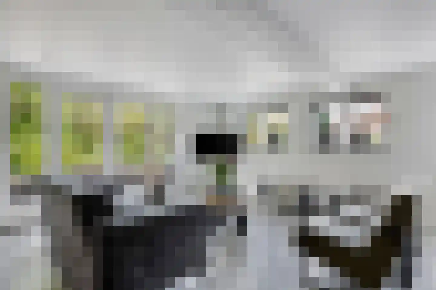 Vrouwenweg 17 Nijkerkerveen thumbnail 53