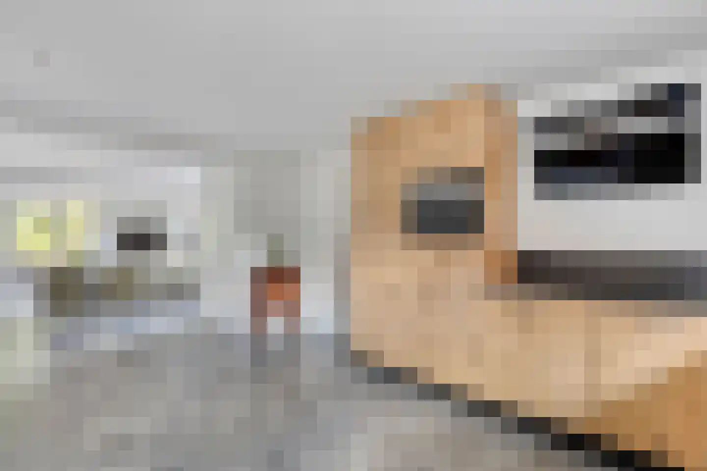 Vrouwenweg 17 Nijkerkerveen thumbnail 57