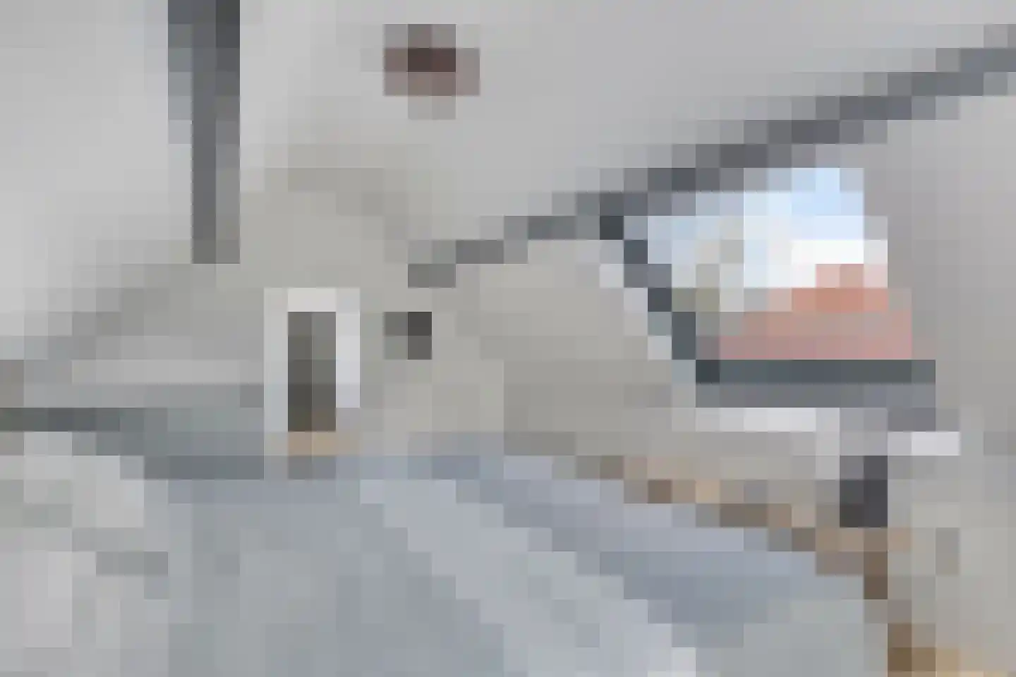 Vrouwenweg 17 Nijkerkerveen thumbnail 62
