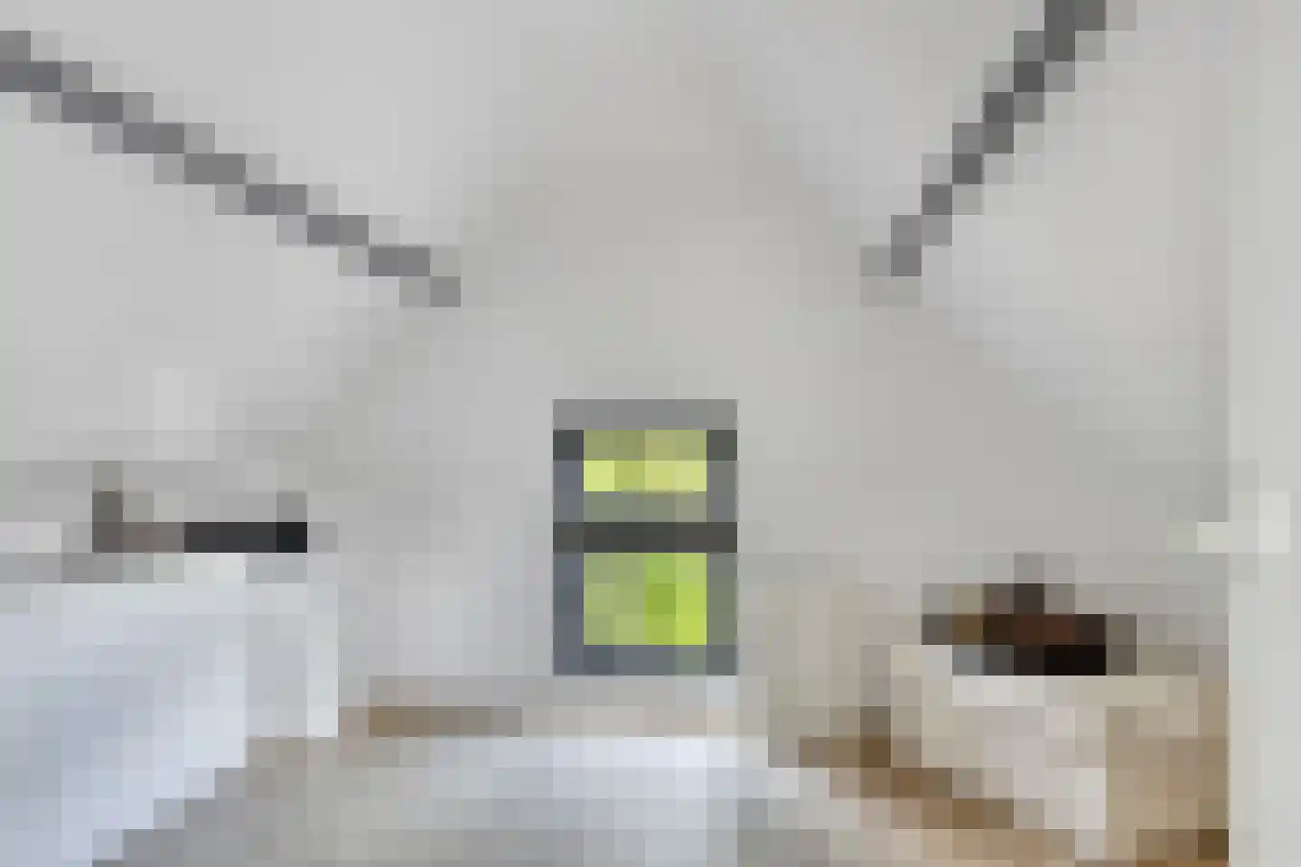 Vrouwenweg 17 Nijkerkerveen thumbnail 64