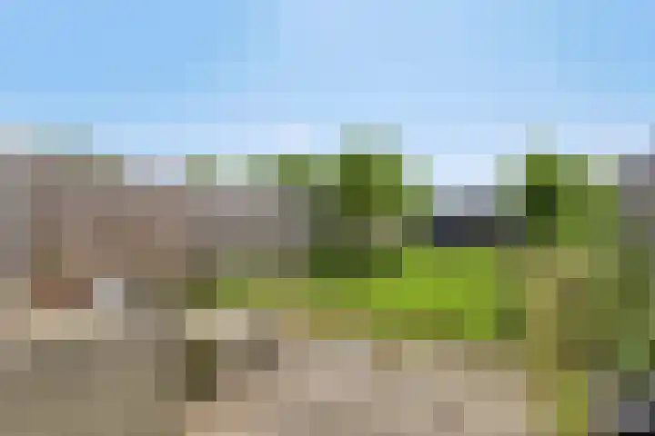 Vrouwenweg 25 Leiden thumbnail 27