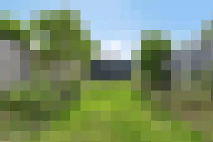 Vrouwenweg 25 Leiden thumbnail 28