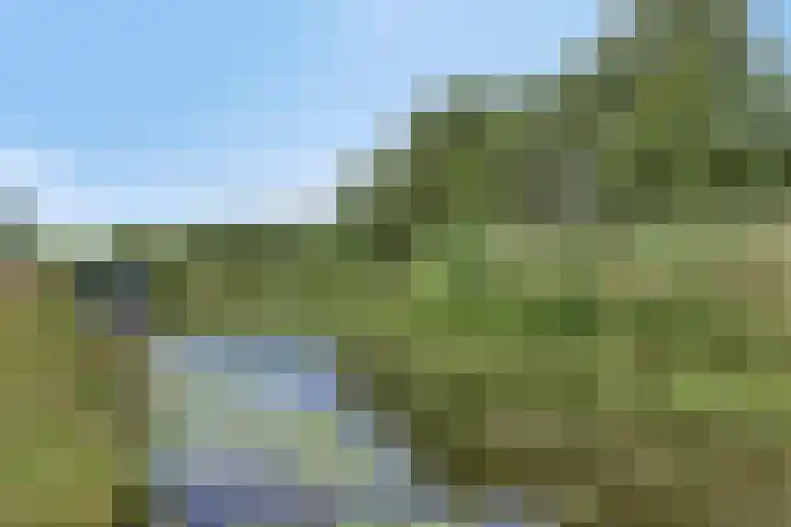 Vrouwenweg 25 Leiden thumbnail 30
