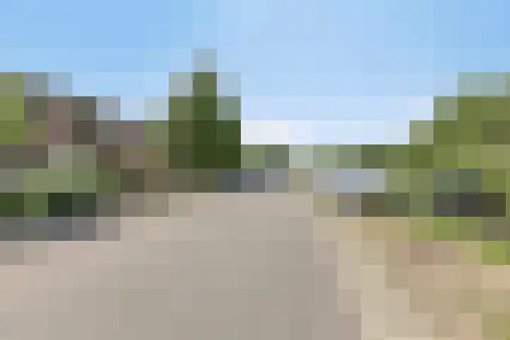 Vrouwenweg 25 Leiden thumbnail 31