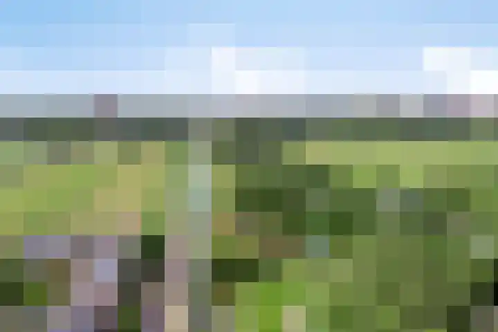 Vrouwenweg 25 Leiden thumbnail 33
