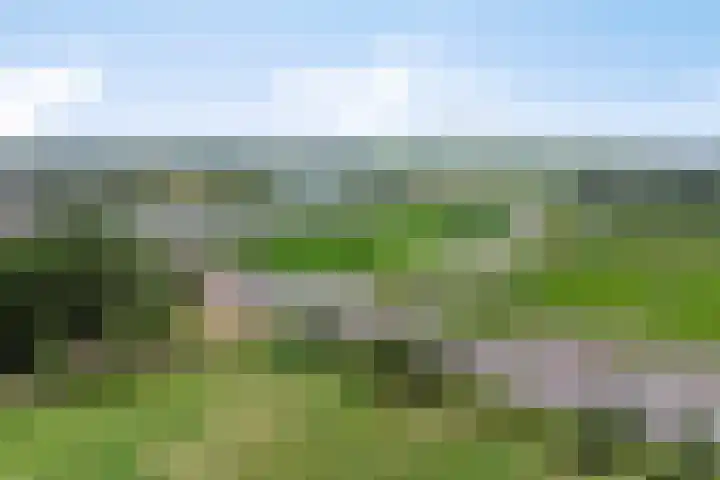 Vrouwenweg 25 Leiden thumbnail 34