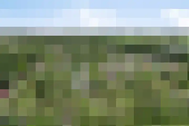 Vrouwenweg 25 Leiden thumbnail 35