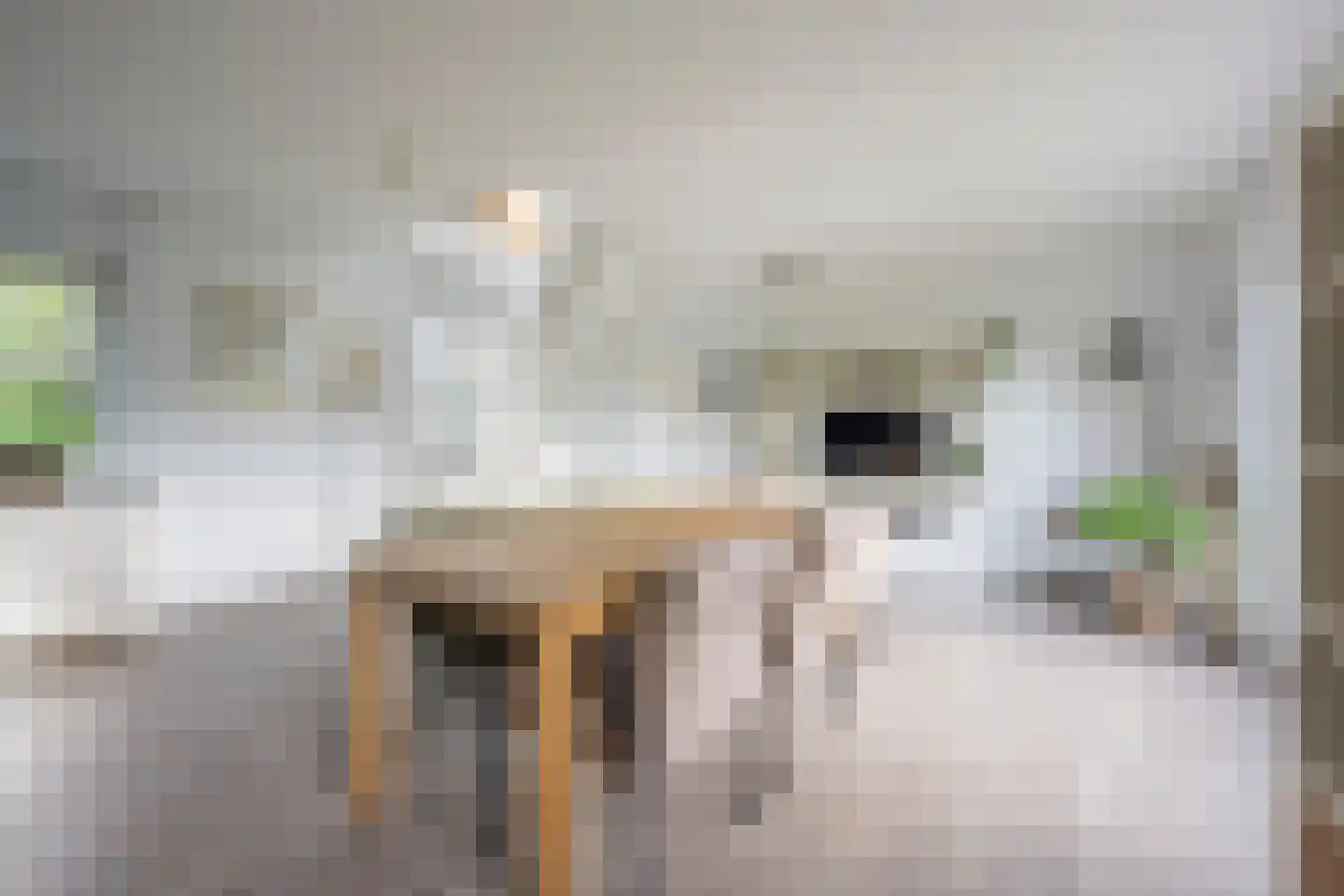 Vrouwenweg 29 Nijkerkerveen thumbnail 10
