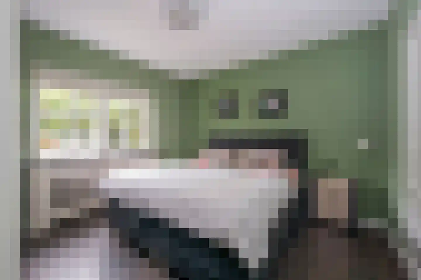 Vrouwenweg 29 Nijkerkerveen thumbnail 11