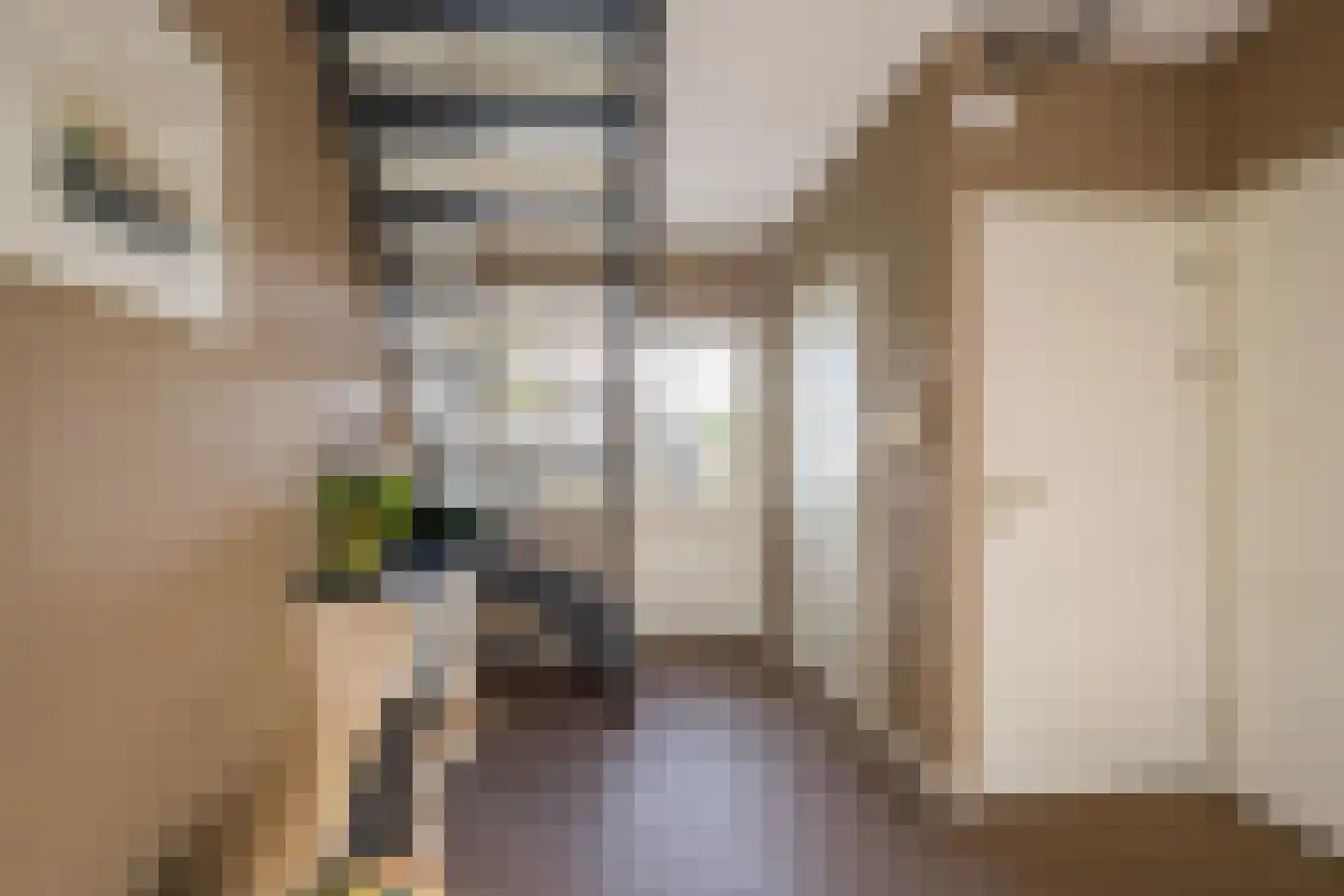 Vrouwenweg 29 Nijkerkerveen thumbnail 17