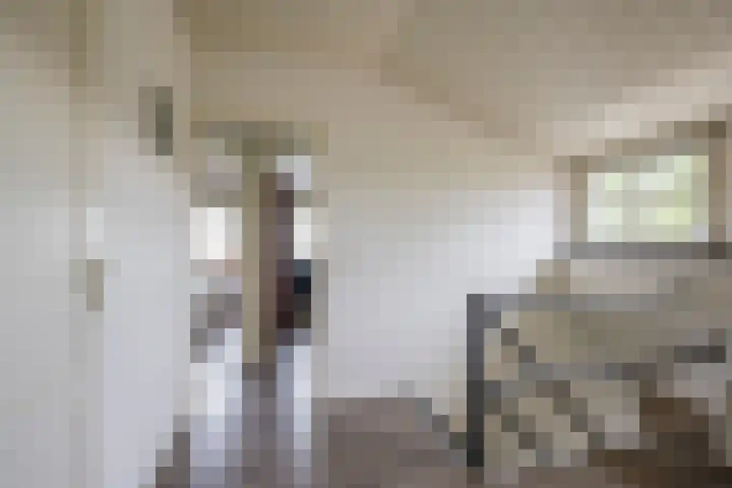 Vrouwenweg 29 Nijkerkerveen thumbnail 22