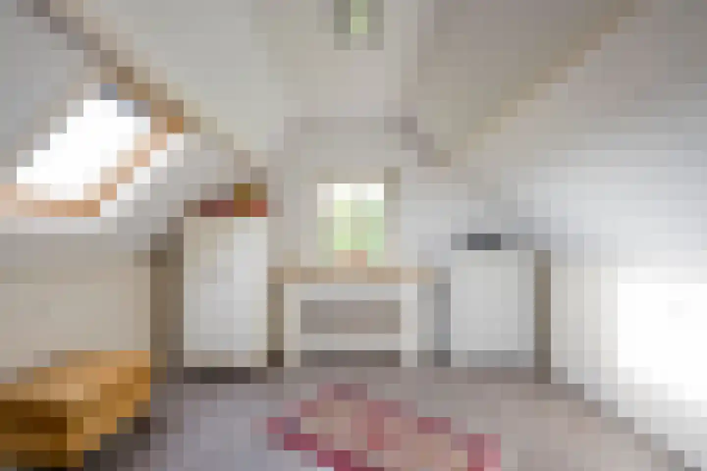 Vrouwenweg 29 Nijkerkerveen thumbnail 31