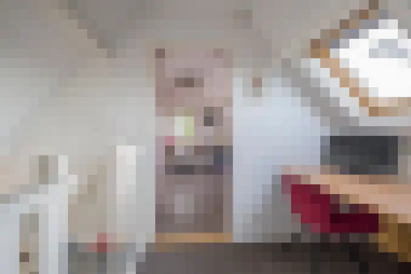 Vrouwenweg 29 Nijkerkerveen thumbnail 33