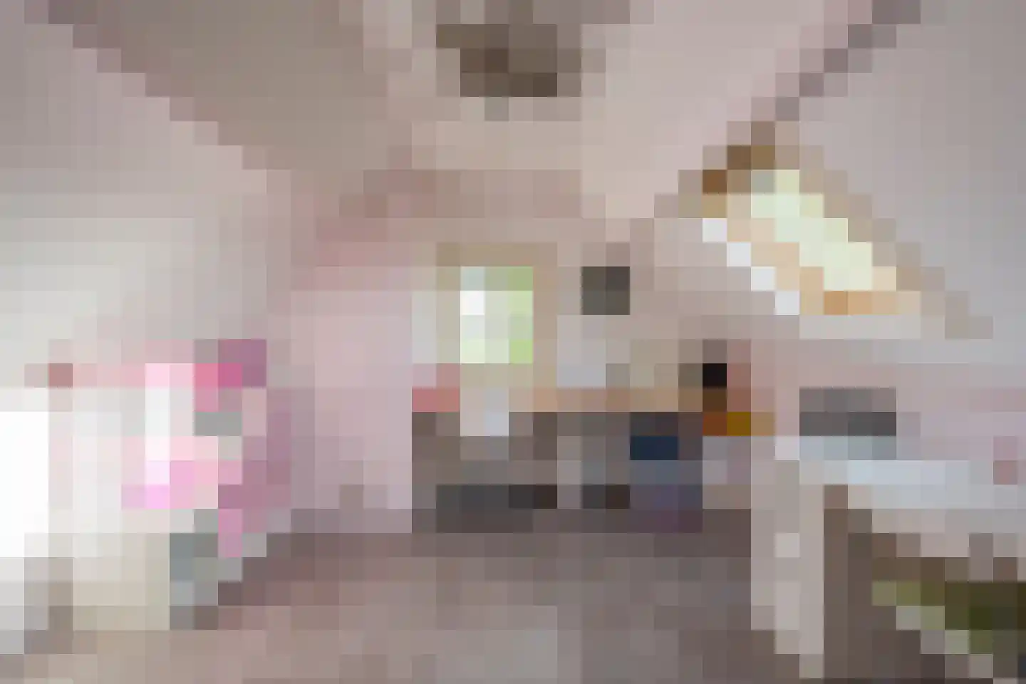 Vrouwenweg 29 Nijkerkerveen thumbnail 34