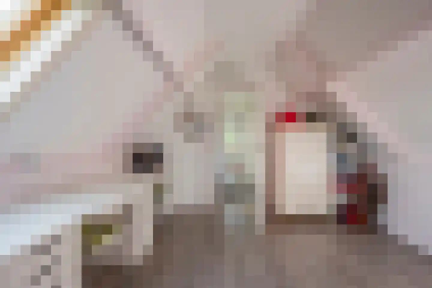 Vrouwenweg 29 Nijkerkerveen thumbnail 35