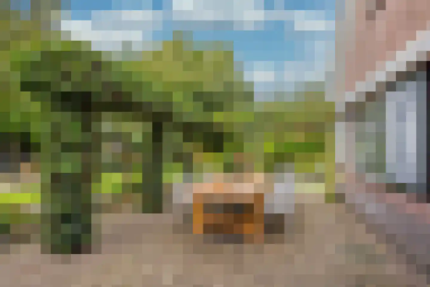 Vrouwenweg 29 Nijkerkerveen thumbnail 36