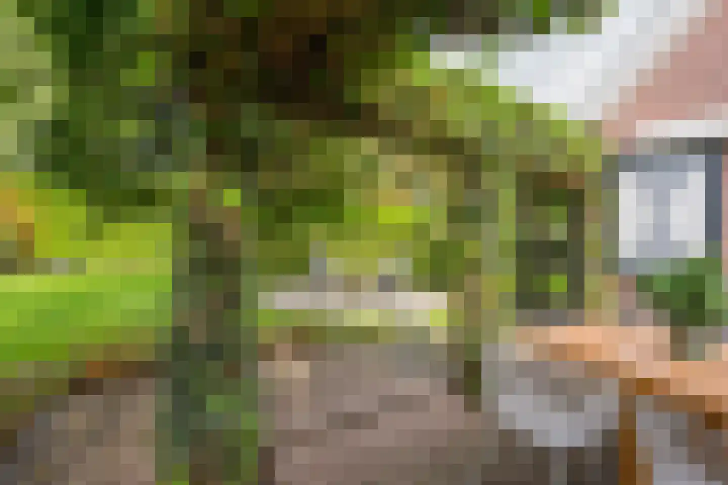 Vrouwenweg 29 Nijkerkerveen thumbnail 38