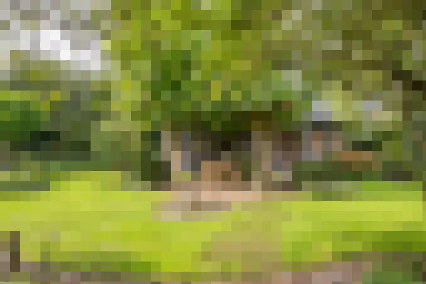 Vrouwenweg 29 Nijkerkerveen thumbnail 40