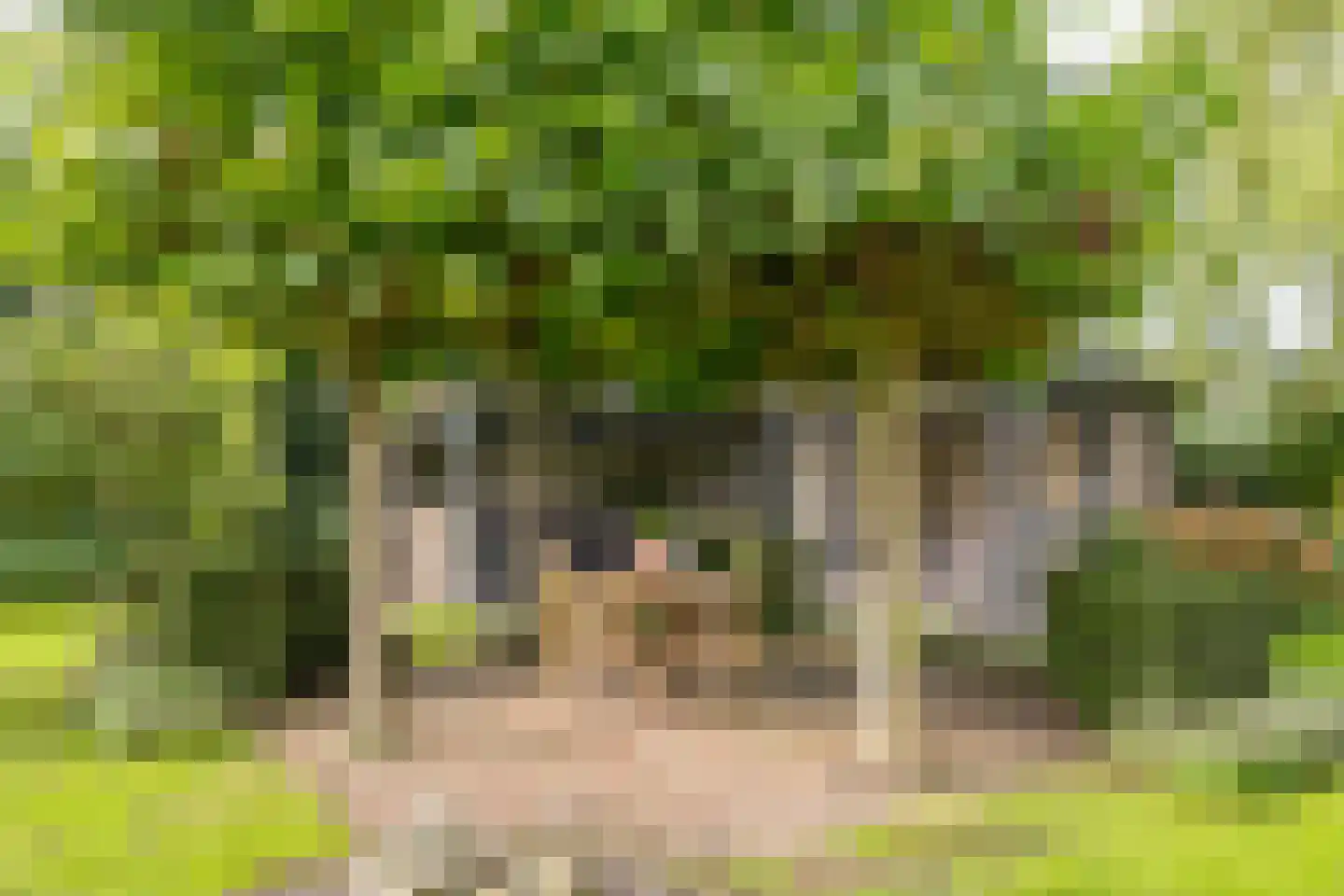 Vrouwenweg 29 Nijkerkerveen thumbnail 41