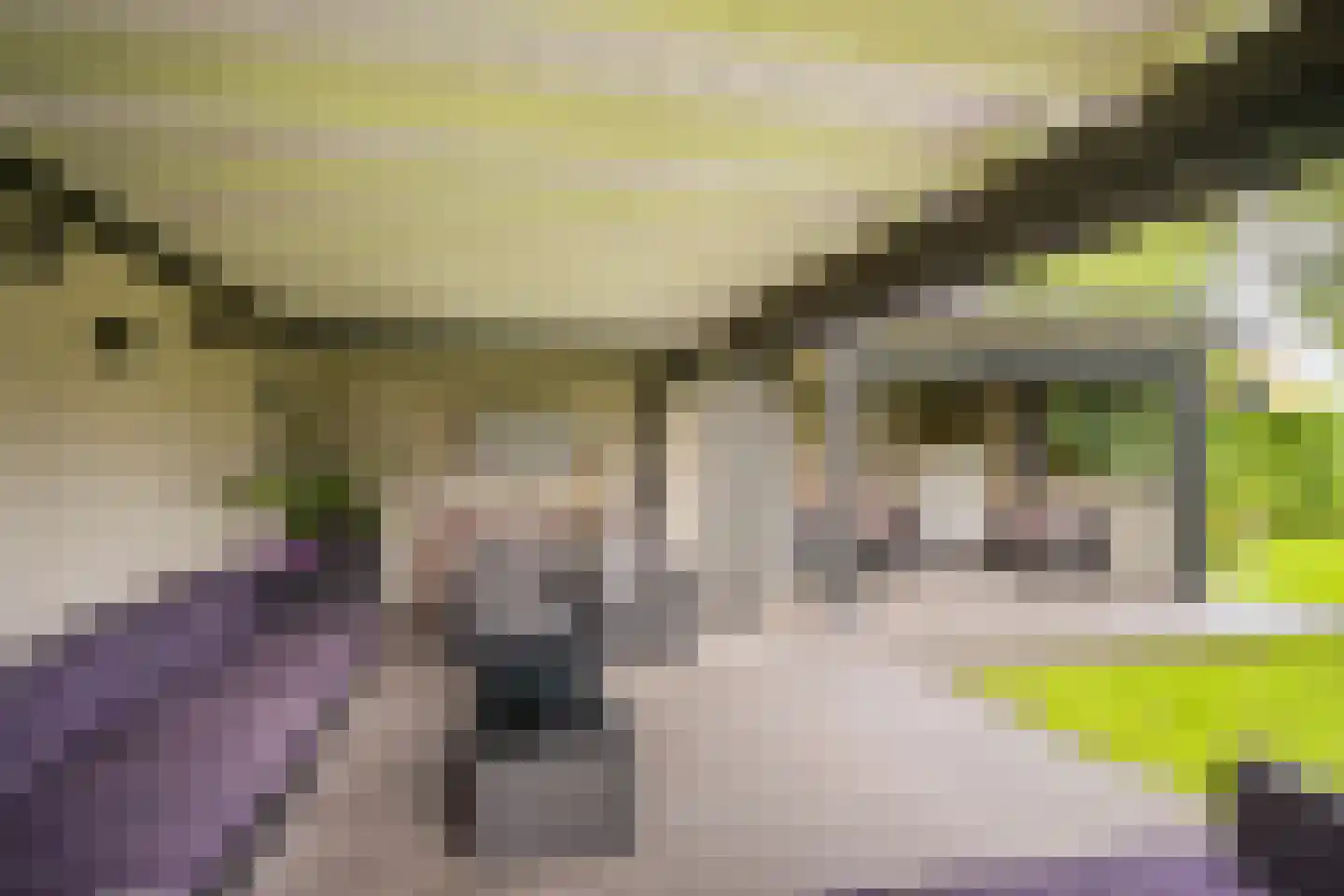 Vrouwenweg 29 Nijkerkerveen thumbnail 43