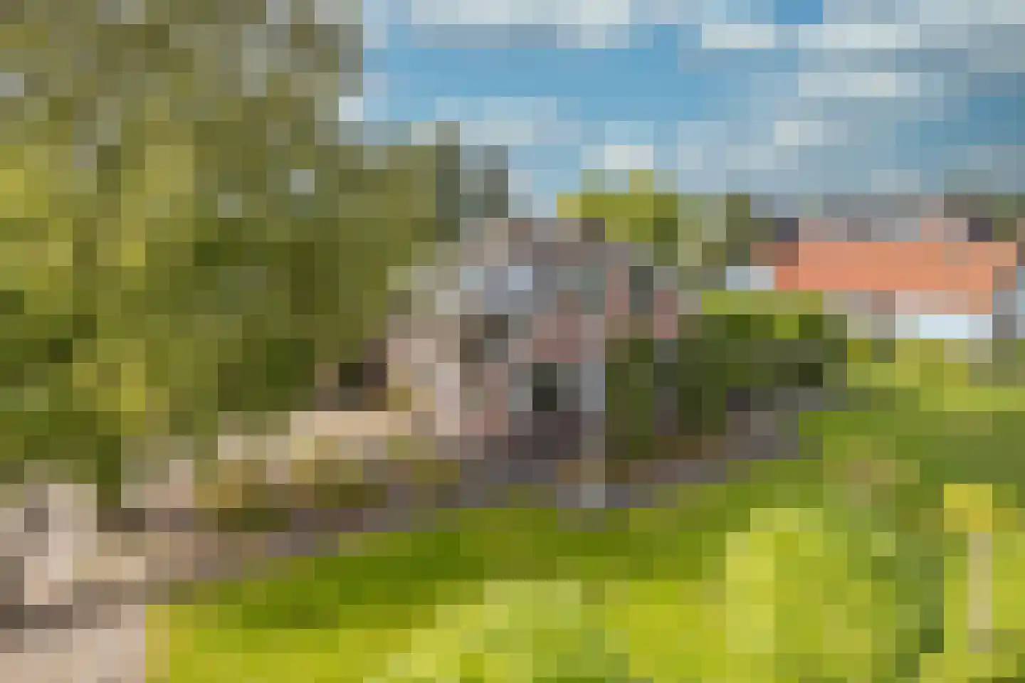 Vrouwenweg 29 Nijkerkerveen thumbnail 51
