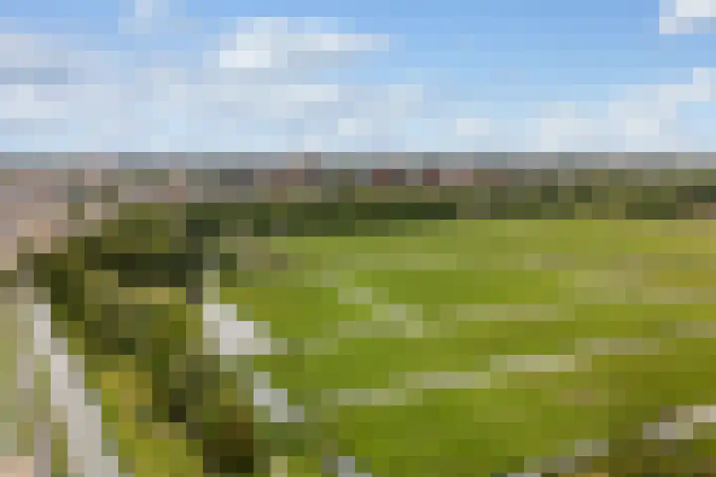 Vrouwenweg 51 Leiden thumbnail 53
