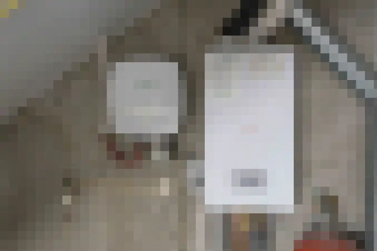 Vrouwenzand 13 Emmeloord thumbnail 38