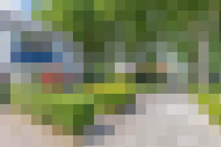 Vrouwenzand 2 Emmeloord thumbnail 30