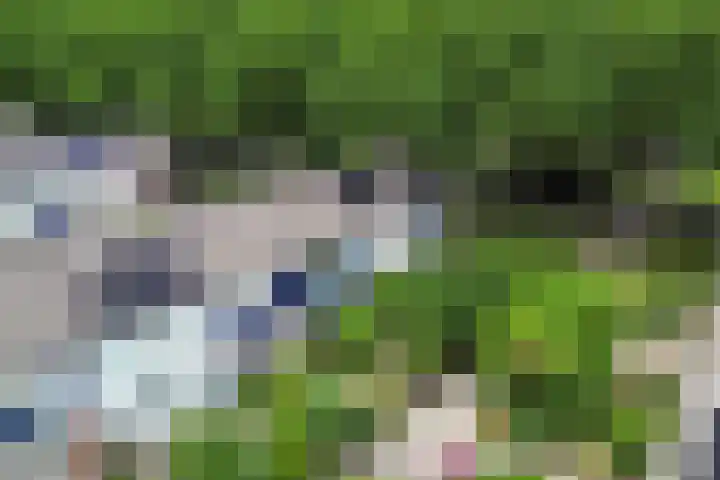 Vrouwenzand 2 Emmeloord thumbnail 35