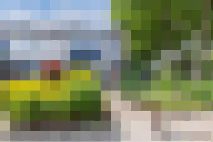 Vrouwenzand 2 Emmeloord thumbnail 4