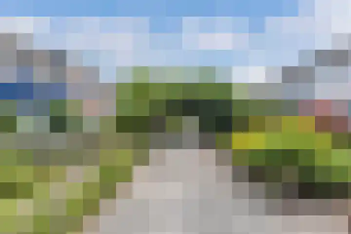 Vrouwenzand 2 Emmeloord thumbnail 5