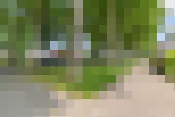 Vrouwenzand 2 Emmeloord thumbnail 6