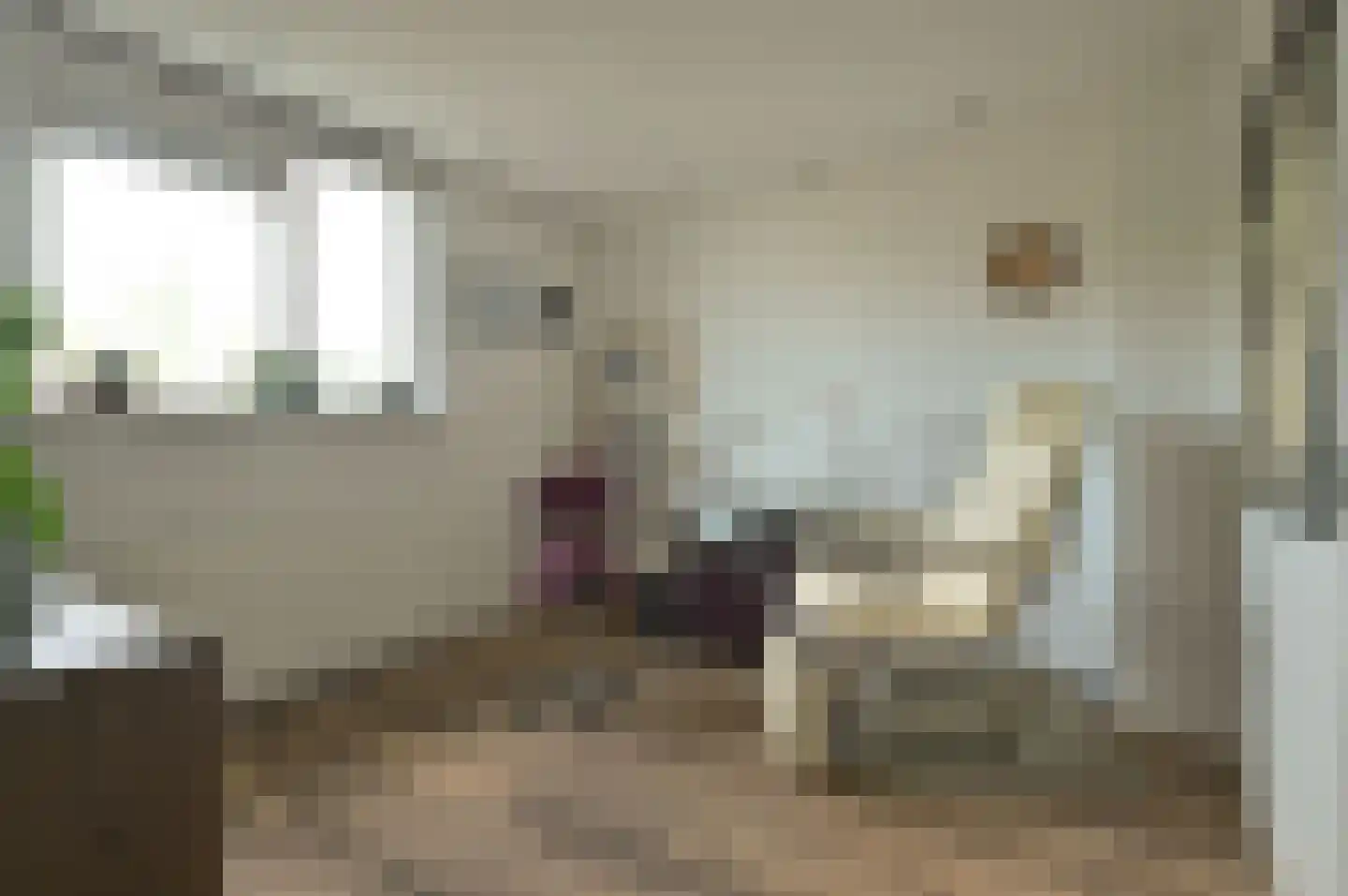 Vrouwenzand 25 Huizen thumbnail 15