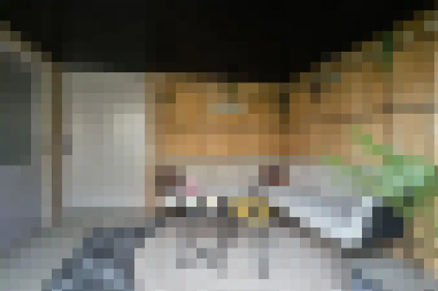 Vrouwenzand 25 Huizen thumbnail 21
