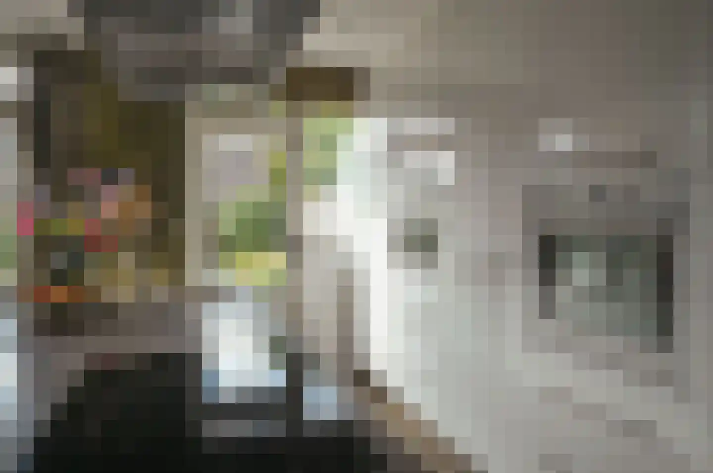 Vrouwenzand 25 Huizen thumbnail 9