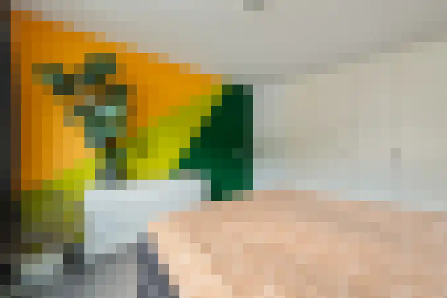 Vrouwenzand 29 Emmeloord thumbnail 37
