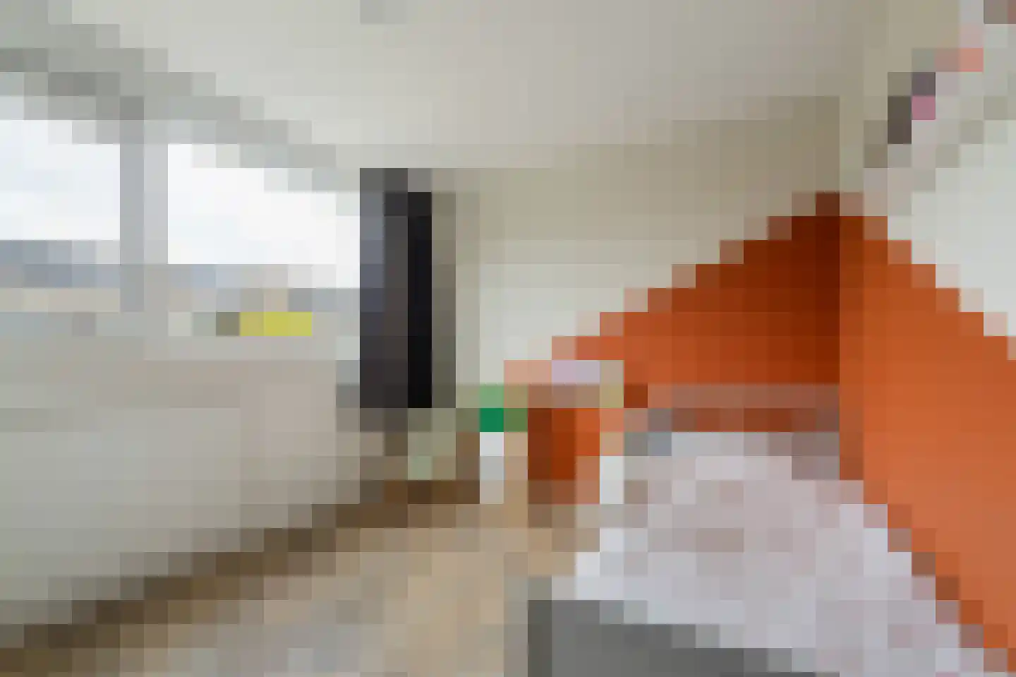 Vrouwenzand 29 Emmeloord thumbnail 42