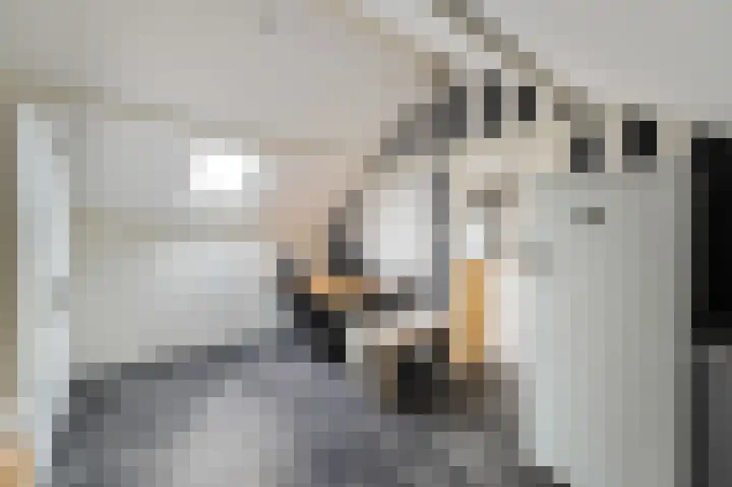 Vrouwenzand 29 Emmeloord thumbnail 48