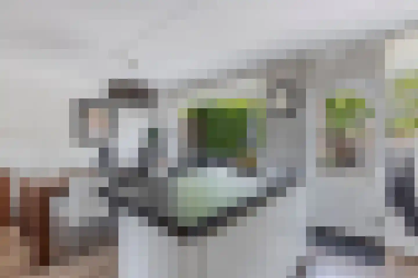 Vrouwenzand 5 Huizen thumbnail 12