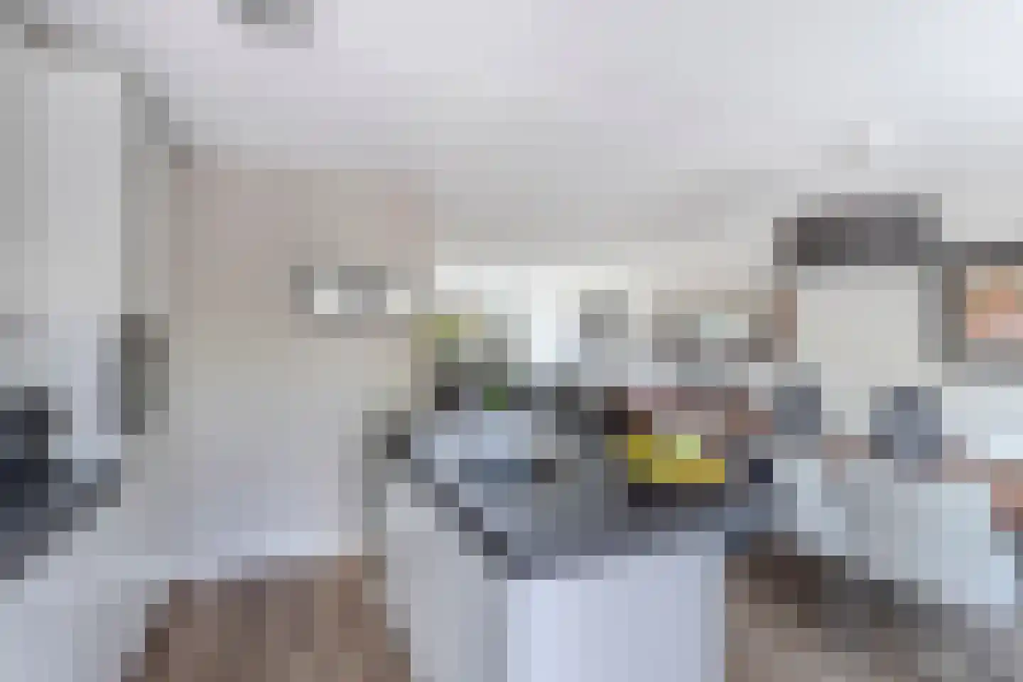 Vrouwenzand 5 Huizen thumbnail 13
